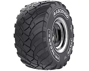 560/60R22.5 Ascenso FTR170 164D SB TL