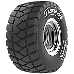 560/60R22.5 Ascenso FCR185 169D HD, SB TL
